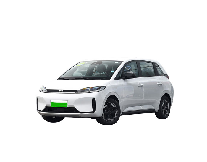 BYD D1
